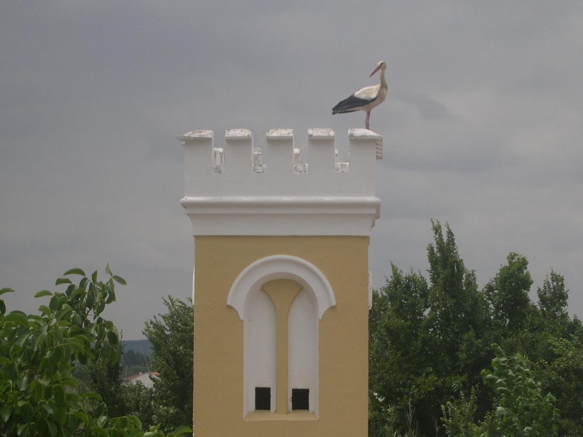 Quinta De Coalhos Th Villa Abrantes Exterior photo