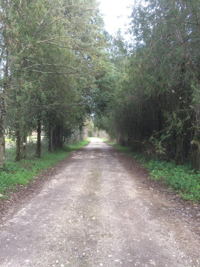 Quinta De Coalhos Th Villa Abrantes Exterior photo